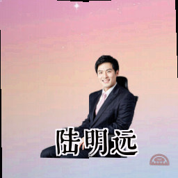 陆明远